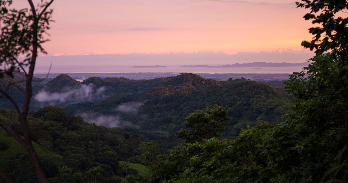 Spende für den Erhalt des Regenwaldes