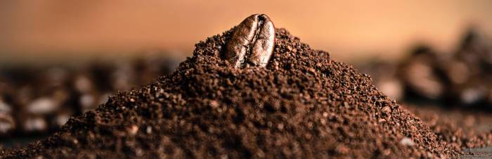 Kaffeepulver mit einer Bohne oben drauf