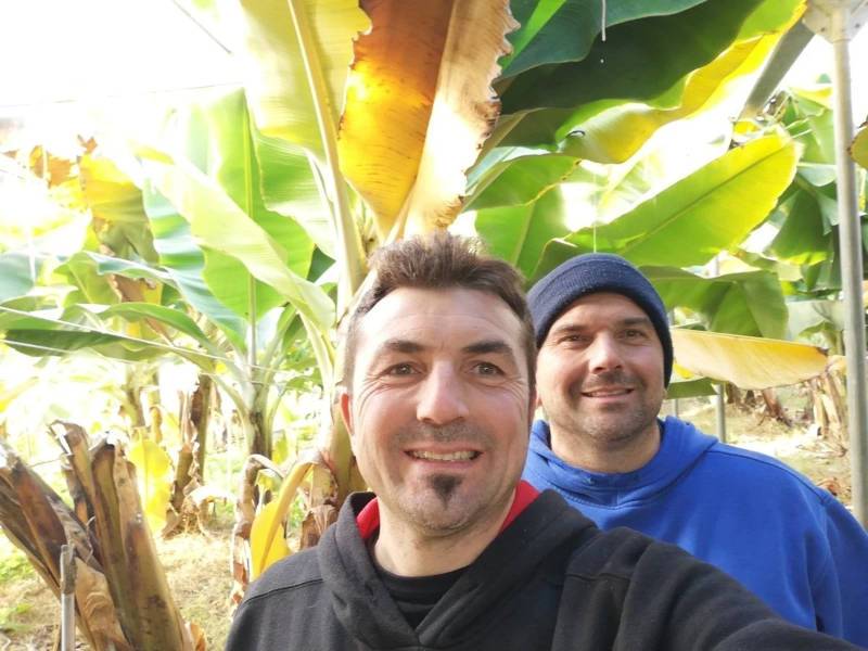 Der Garten des Großvaters Nino