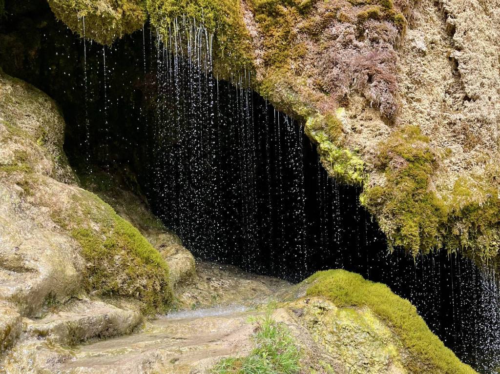 Kaffee und Wasser